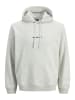 Jack & Jones Sweatshirt / Hoodie Norrebro in Hellgrau
