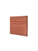 Usha Women Wallet in Brown