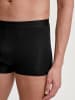 Calida Boxer Brief in schwarz