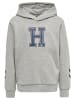 Hummel Hummel Kapuzenpullover Hmlgeography Jungen in LIGHT GREY MELANGE