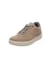 Ecco Schnürschuhe in beige/grau