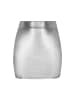 myMo at night Women Skirt in silver