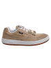 Vans Sneakers in Beige