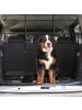 relaxdays Hundegitter Auto in Schwarz