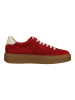 Paul Green Sneaker in Rot/Weiß