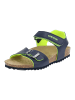 Geox Sandalen in Navy/Lime