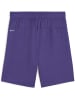 Puma Sporthose "TeamGoal Shorts Jr" in Lila