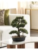 Beliani Kunstpflanze PINE in Grün/Schwarz - (W) 34 x (H) 44 x (L) 7 cm