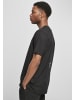 Cayler & Sons T-Shirts in black/mc