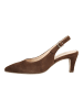 Gabor Pumps in Cacao