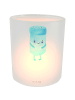 Mr. & Mrs. Panda Glas Windlicht Beste Freunde Salz mit Spruch in Transparent
