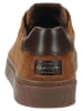 GANT Footwear Sneaker in Chestnut