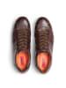 LLOYD Schuhe Sneaker in BRAUN