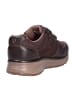 Joya Halbschuh DYNAMO VELCRO M DARK BROWN in braun