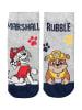 Paw Patrol 5er Pack Paw Patrol Socken Sneaker Kindersocken Söckchen in blau/grau