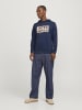 Jack & Jones Kapuzenpullover in Navy Blazer