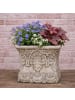 AltoBelli Blumentopf TRIESTE Viereckig mit Blumen Muster Grau Zement 17x16 cm