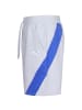 Puma Trainingsshorts Fit 7" Woven in hellgrau / blau