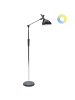 Beliani Stehleuchte ANDROMEDA in Silber/Schwarz - (W) 52 x (H) 169 x (L) 26 cm