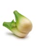 Erzi Fenchelknolle - Kaufladenzubehör - ab 3 Jahren