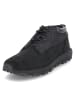 Timberland Outdoorschuhe WINSOR PARK GTX in Schwarz