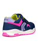 Geox Sneaker in Navy/Pink