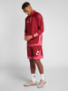 Hummel Halbreißverschluss Sweatshirt Hmllead Herren in BIKING RED