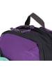 FJÄLLRÄVEN Vardag 17 Daypack 41 cm Laptopfach in violette-coal black