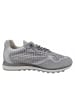 Cetti Sneaker  in Grau