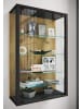 VCM  Wandvitrine Hängevitrine Glasvitrine Glas Udina L in Schwarz / Honig-Eiche