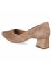 Paul Green Pumps in braun