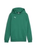 Puma Sweatshirt teamGOAL Casuals Hoody Jr in grün