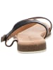 Apple of Eden Riemchensandalette in schwarz
