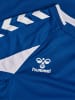 Hummel Kinder Sportshirt "Core 2.0 Jersey Longsleeve" in Blau
