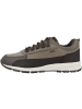 Geox Sneaker low U Delray B ABX B in braun