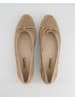 Paul Green Ballerinas in Beige