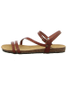 Plakton Riemchensandalette in braun