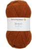 Schachenmayr since 1822 Handstrickgarne Bravo Softy, 50g in Fuchs