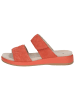 Caprice Pantolette in ORANGE SUEDE