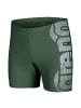 Arena Swim Mid Jammer Graphic in Grün