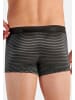 HOM Retro Short / Pant Monsieur in Dunkelgrau