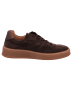Gabor Sneaker Low in braun