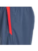 Puma Trainingsshorts TeamLIGA Training in blau / rot