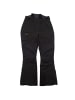 Jack Wolfskin Skihose Icy Storm Pants in Grau