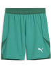 Puma Sporthose "TeamFinal Shorts" in Grün