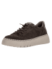 Gabor Sneaker braun