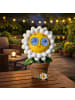 MARELIDA LED Solar Blume mit blizelnden rollenden Augen Gänseblümchen H: 22cm