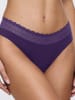 Triumph String Feel of Modal in ROYAL PURPLE