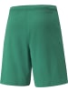 Puma Sporthose "TeamRISE Short" in Grün