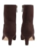 Steve Madden Stiefelette DAVIS-S in Dunkelbraun